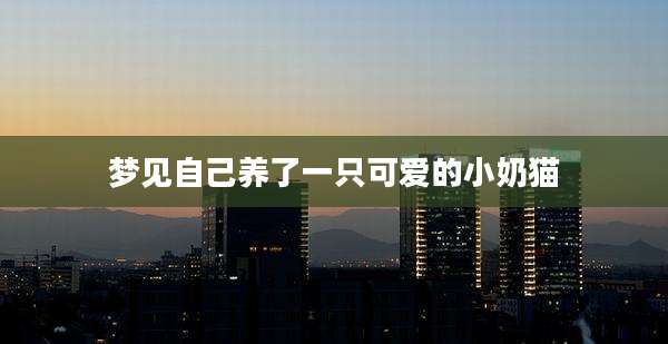 梦见自己养了一只可爱的小奶猫