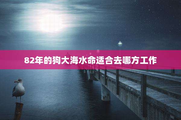 82年的狗大海水命适合去哪方工作