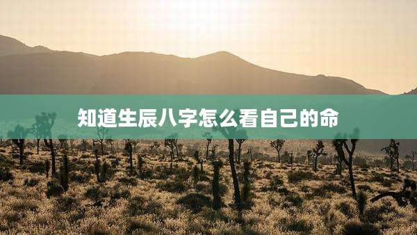 知道生辰八字怎么看自己的命