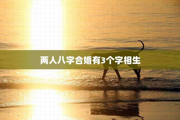 两人八字合婚有3个字相生
