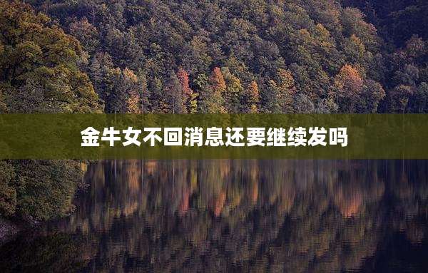 金牛女不回消息还要继续发吗