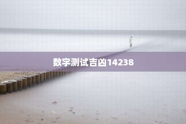 数字测试吉凶14238