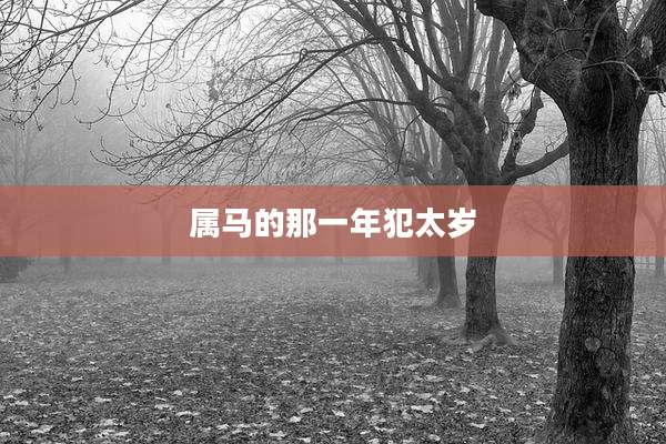 属马的那一年犯太岁
