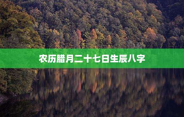 农历腊月二十七日生辰八字