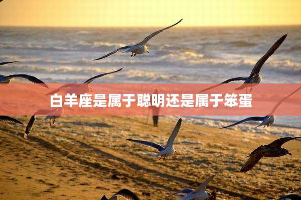 白羊座是属于聪明还是属于笨蛋