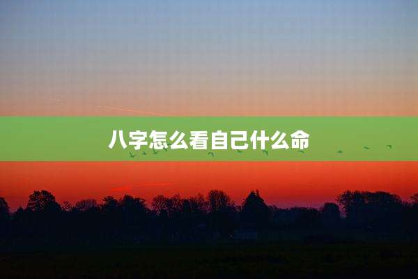 八字怎么看自己什么命