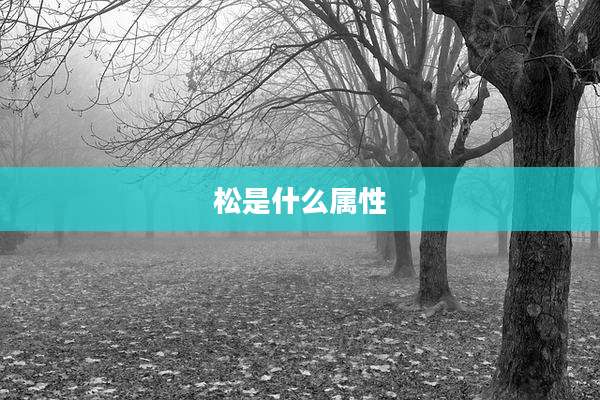 松是什么属性