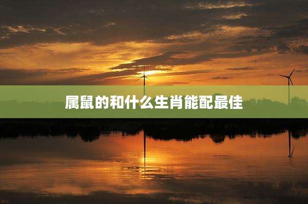属鼠的和什么生肖能配最佳