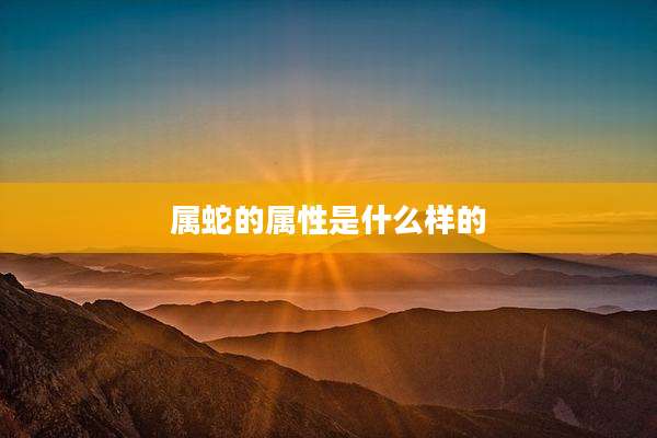 属蛇的属性是什么样的