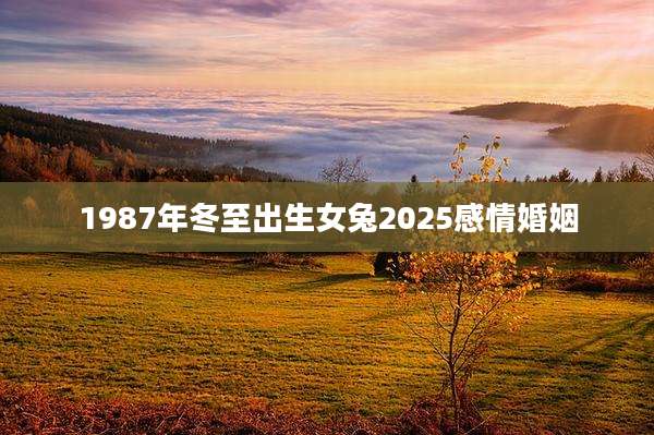 1987年冬至出生女兔2025感情婚姻