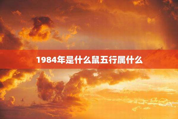 1984年是什么鼠五行属什么