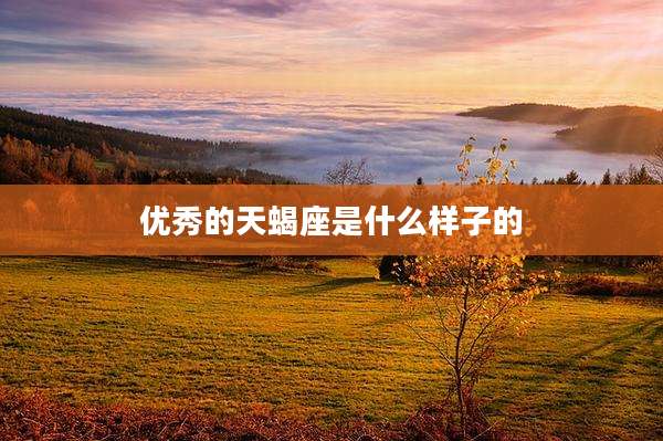 优秀的天蝎座是什么样子的