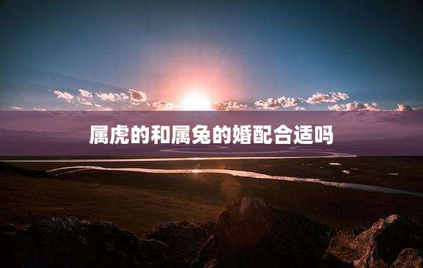 属虎的和属兔的婚配合适吗
