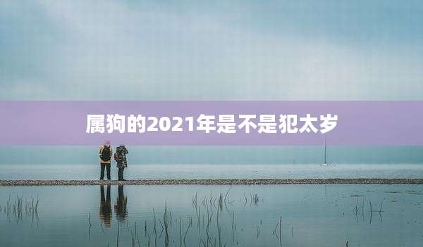 属狗的2021年是不是犯太岁