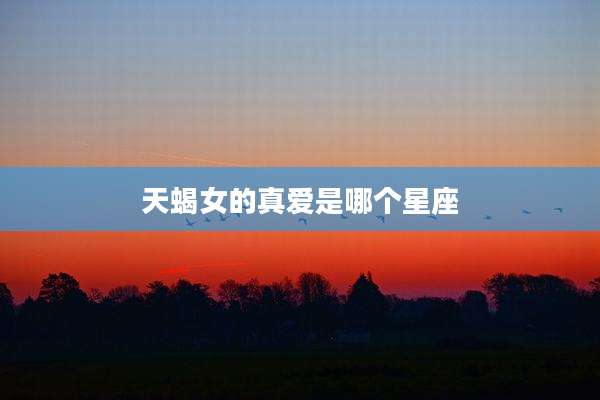 天蝎女的真爱是哪个星座