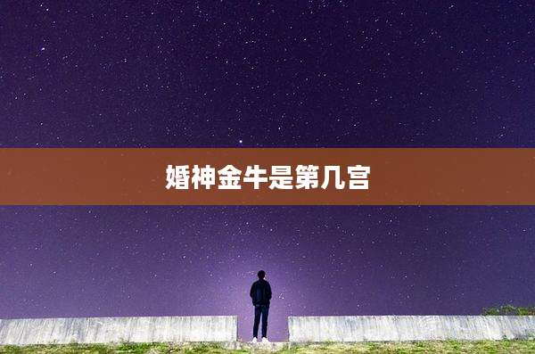 婚神金牛是第几宫