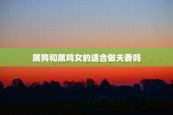 属狗和属鸡女的适合做夫妻吗
