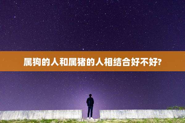 属狗的人和属猪的人相结合好不好?
