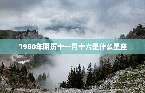 1980年阴历十一月十六是什么星座