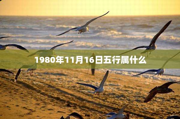 1980年11月16日五行属什么