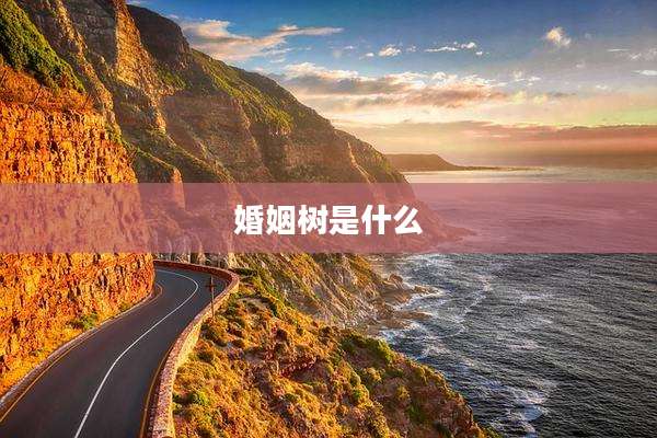 婚姻树是什么