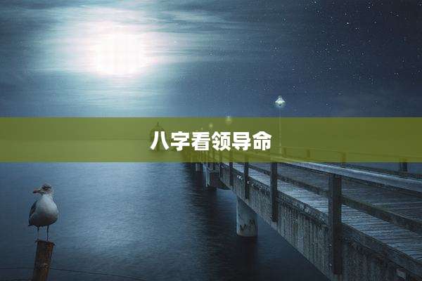 八字看领导命