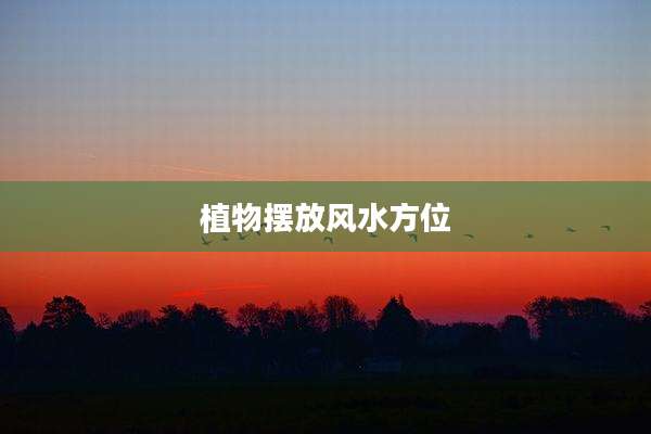 植物摆放风水方位