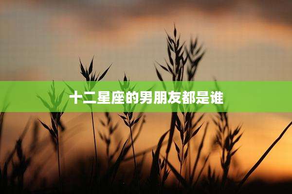 十二星座的男朋友都是谁