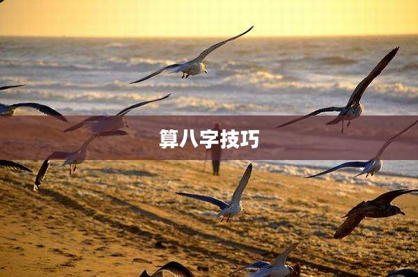 算八字技巧
