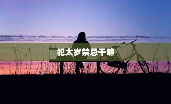 犯太岁禁忌干嘛