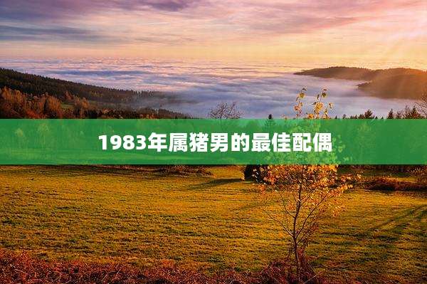 1983年属猪男的最佳配偶
