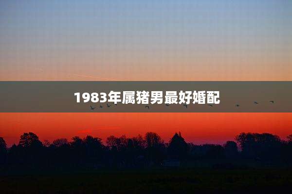1983年属猪男最好婚配