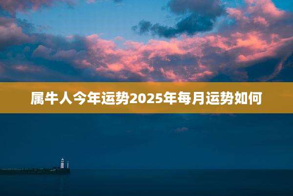 属牛人今年运势2025年每月运势如何