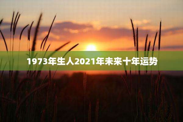 1973年生人2021年未来十年运势
