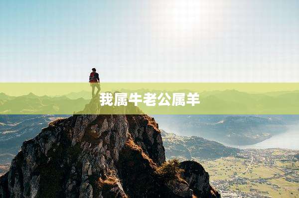 我属牛老公属羊