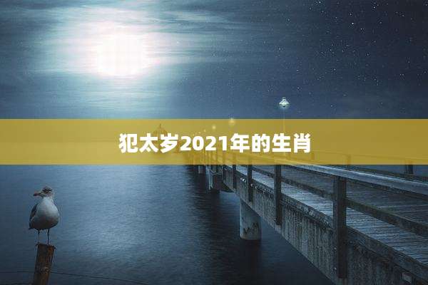 犯太岁2021年的生肖