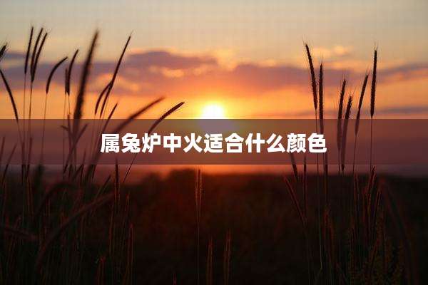 属兔炉中火适合什么颜色