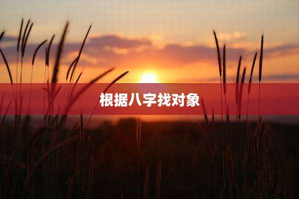 根据八字找对象