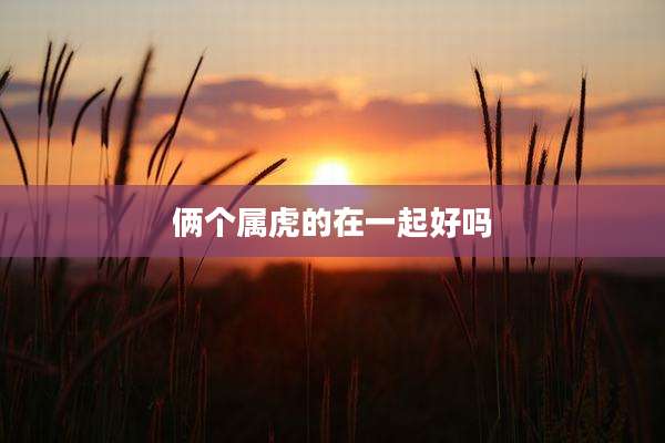 俩个属虎的在一起好吗