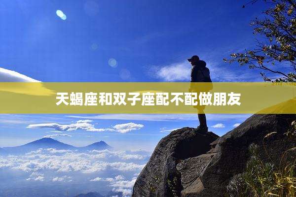天蝎座和双子座配不配做朋友