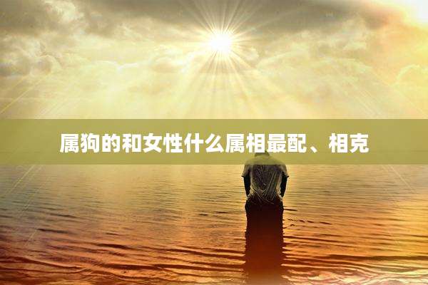 属狗的和女性什么属相最配、相克