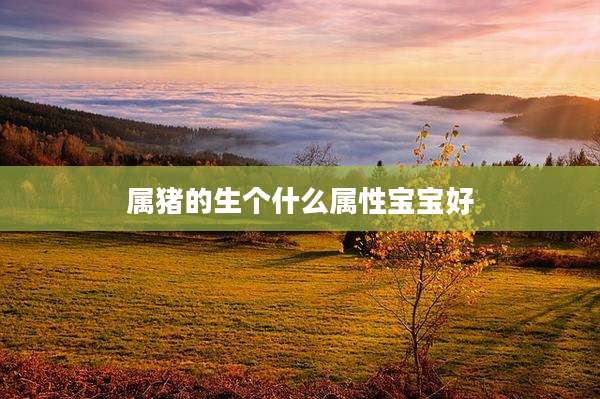 属猪的生个什么属性宝宝好