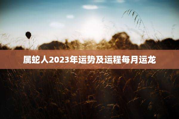 属蛇人2023年运势及运程每月运龙