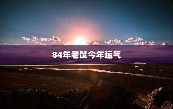 84年老鼠今年运气