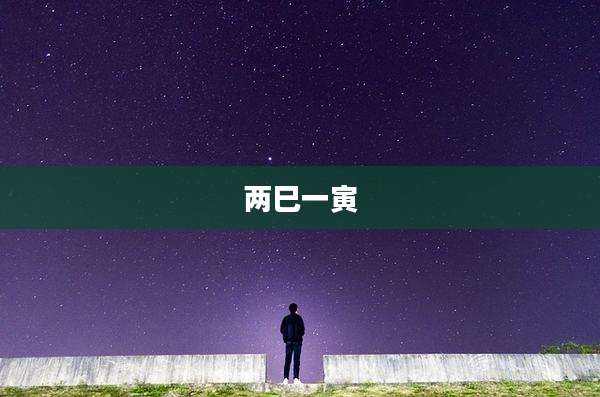 两巳一寅