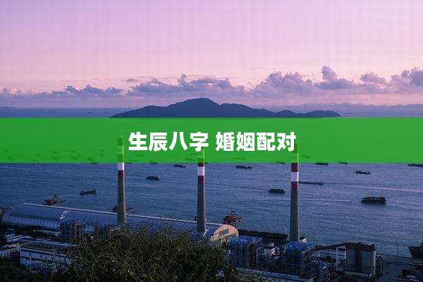 生辰八字 婚姻配对
