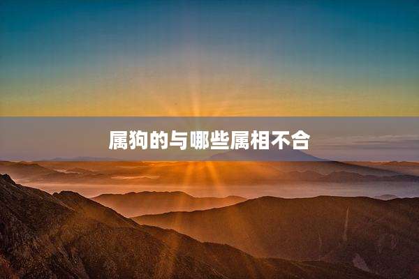 属狗的与哪些属相不合