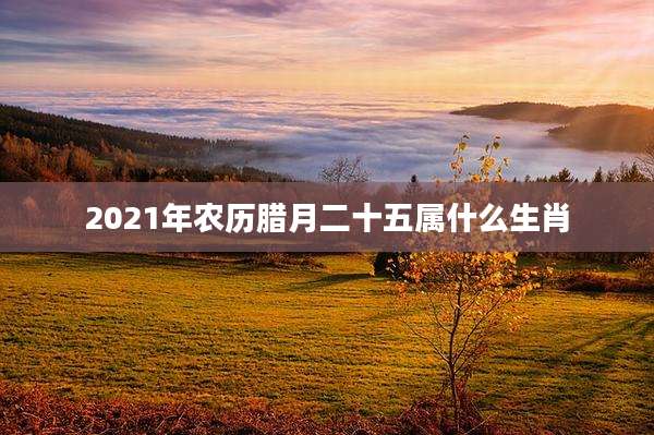 2021年农历腊月二十五属什么生肖