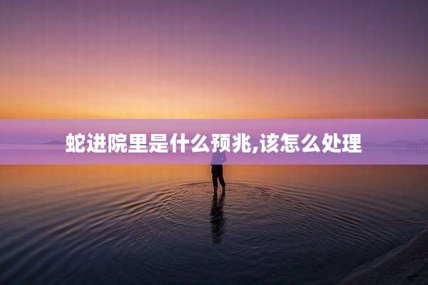蛇进院里是什么预兆,该怎么处理