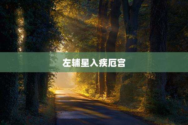左辅星入疾厄宫